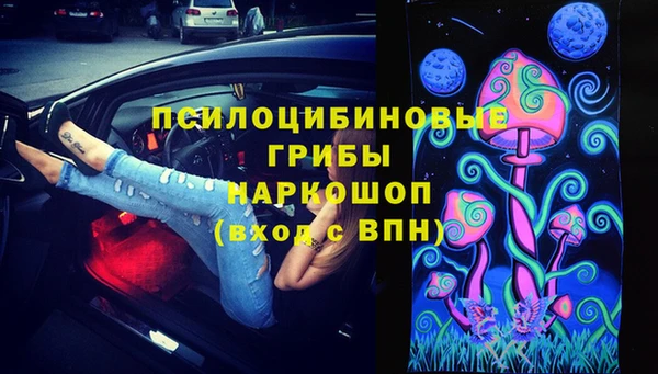 спиды Дмитров
